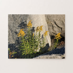 Goldenrod Flowers And Shadows Nature Jigsaw Puzzle