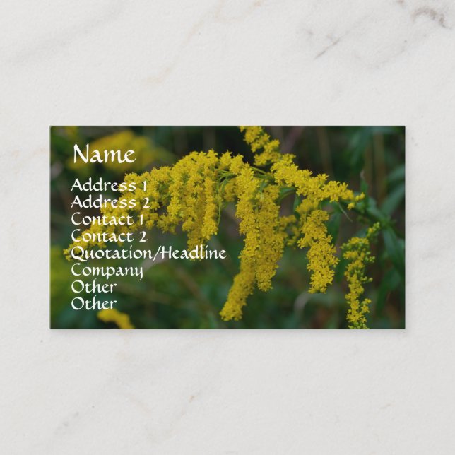 Goldenrod Nature Photography Business Card (Front)