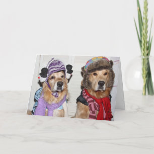 Goldens Bundled Up for the Winter Holidays Holiday Card