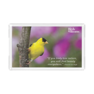 Goldfinch Acrylic Tray