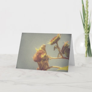 Goldfinch and a Sunflower Retro Photography Card