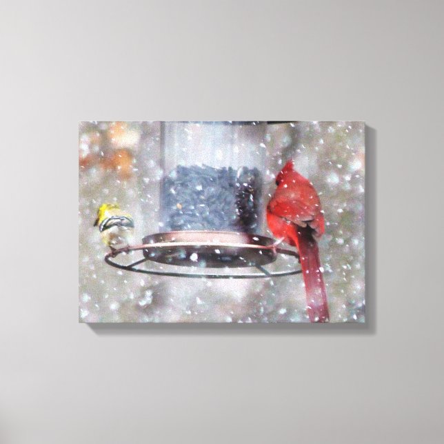 Goldfinch and Cardinal at Feeder Canvas Print (Front)