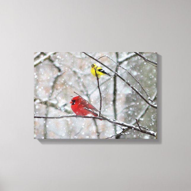 Goldfinch and Cardinal Canvas Print (Front)