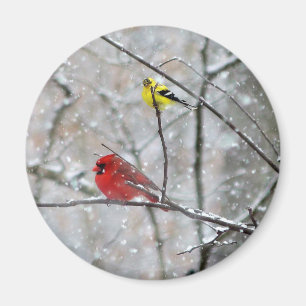 Goldfinch And Cardinal Magnet