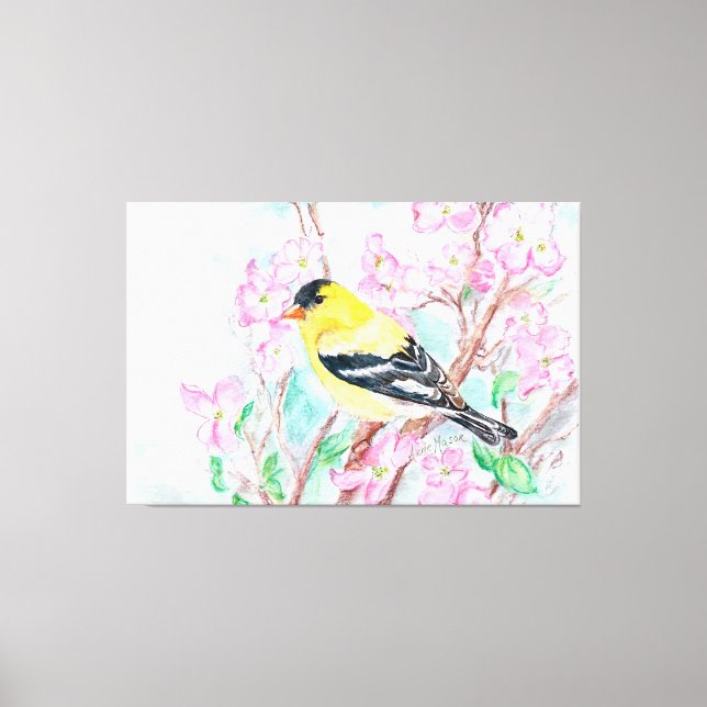 Goldfinch and Dogwood Flowers Canvas Print (Front)