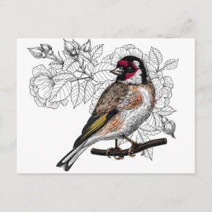 Goldfinch and roses postcard