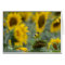 Goldfinch and Sunflowers - Blank Card