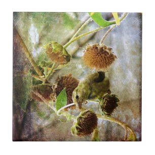 Goldfinch and Sunflowers Tile
