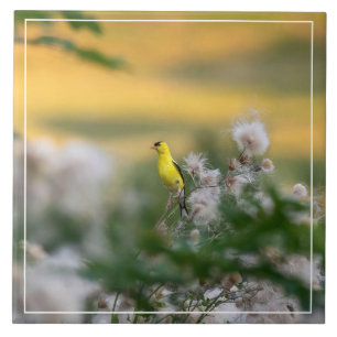 Goldfinch And Thistle Autumn Tile