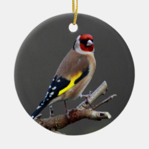 Goldfinch bird ceramic tree decoration