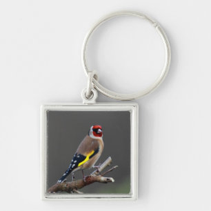 Goldfinch bird key ring