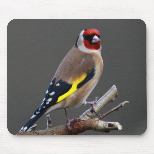 Goldfinch bird mouse mat (Front)