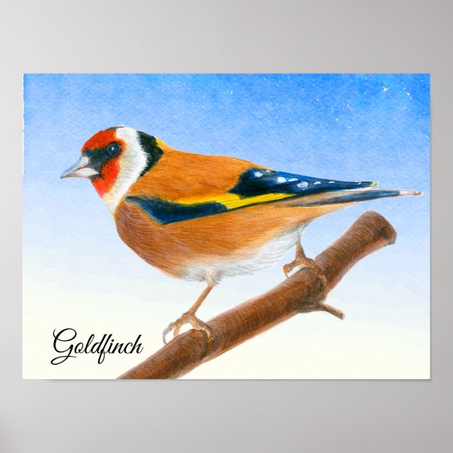 Goldfinch Bird Watercolor Painting Poster (Front)