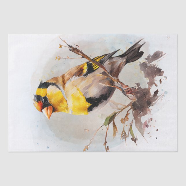 Goldfinch Bird Watercolor Tissue Paper (Front)