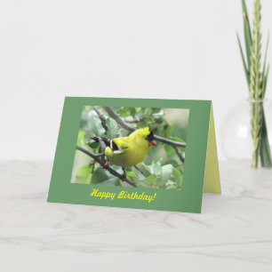 Goldfinch Birthday Card
