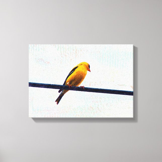 Goldfinch Canvas Print (Front)