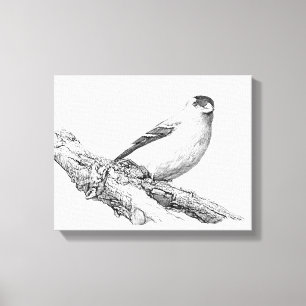Goldfinch Canvas Print