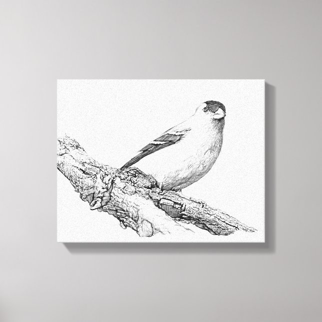 Goldfinch Canvas Print (Front)