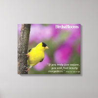 Goldfinch
