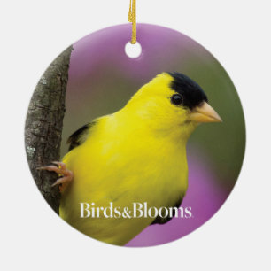 Goldfinch Ceramic Tree Decoration
