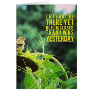 Goldfinch Closer Than I Was Yesterday