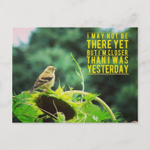 Goldfinch Closer Than I Was Yesterday Postcard