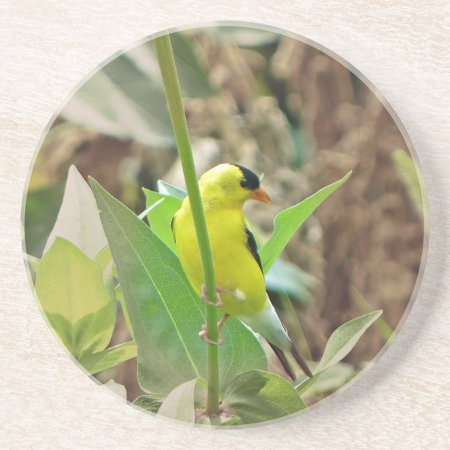 Goldfinch Coaster (Front)