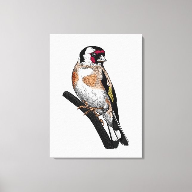 Goldfinch drawing canvas print (Front)