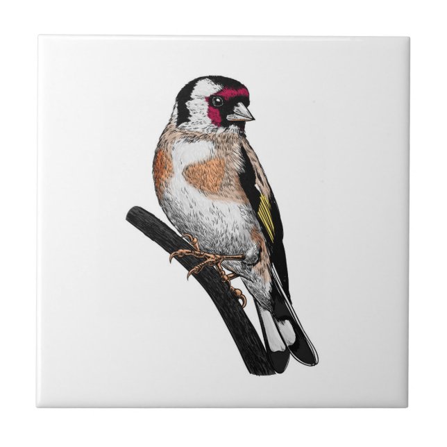 Goldfinch drawing tile (Front)