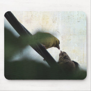 Goldfinch Feeds Chick Mouse Mat
