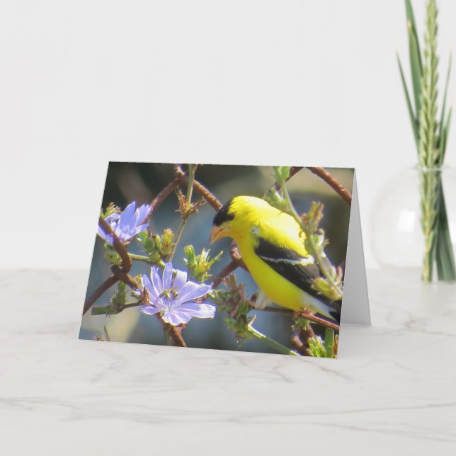 Goldfinch Greeting Card (Front)