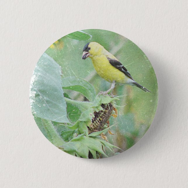 Goldfinch Grunge 6 Cm Round Badge (Front)
