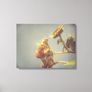 Goldfinch Grunge Canvas Print