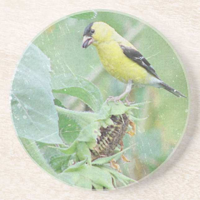 Goldfinch Grunge Coaster (Front)