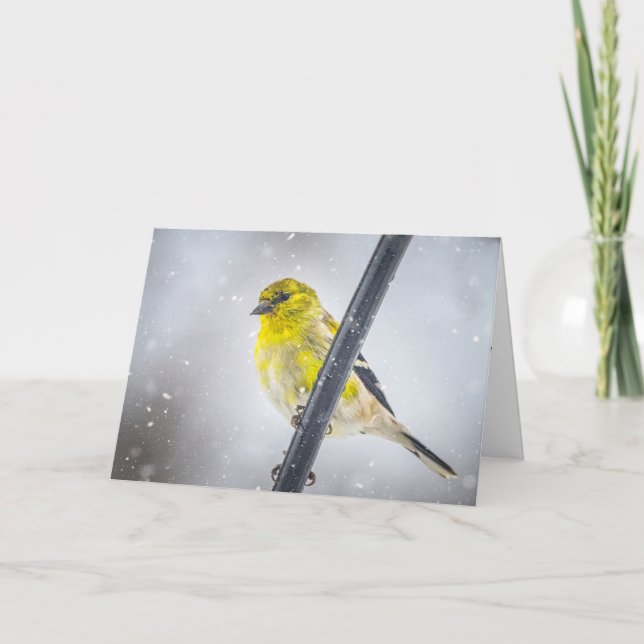 Goldfinch in the snow Folded Christmas Card (Front)
