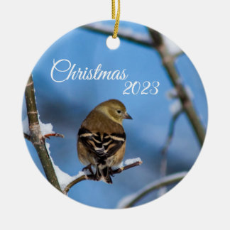 Goldfinch in Winter Photo Ornament