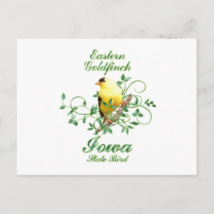 Goldfinch Iowa State Bird Postcard