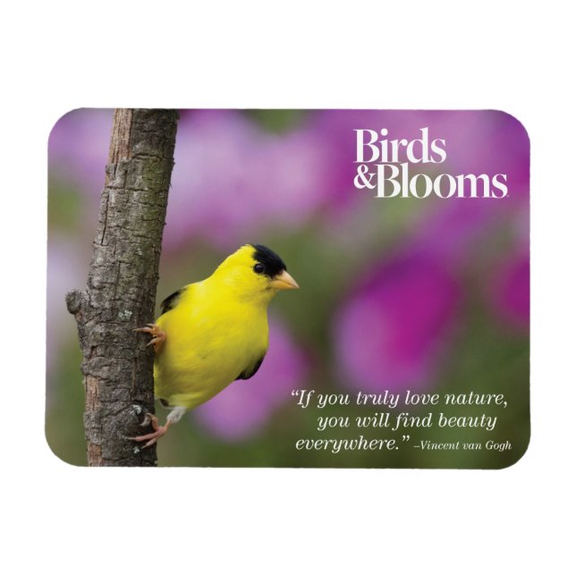 Goldfinch Magnet (Horizontal)