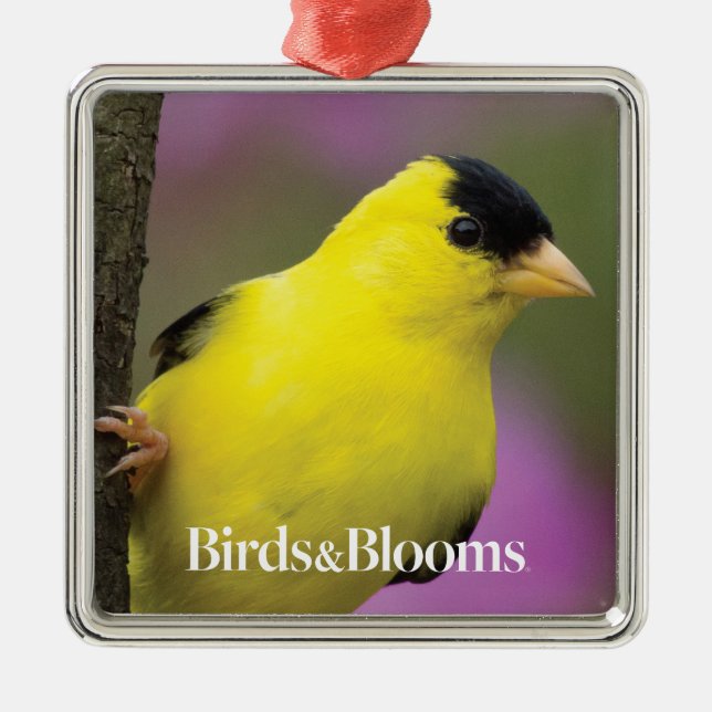 Goldfinch Metal Tree Decoration (Front)