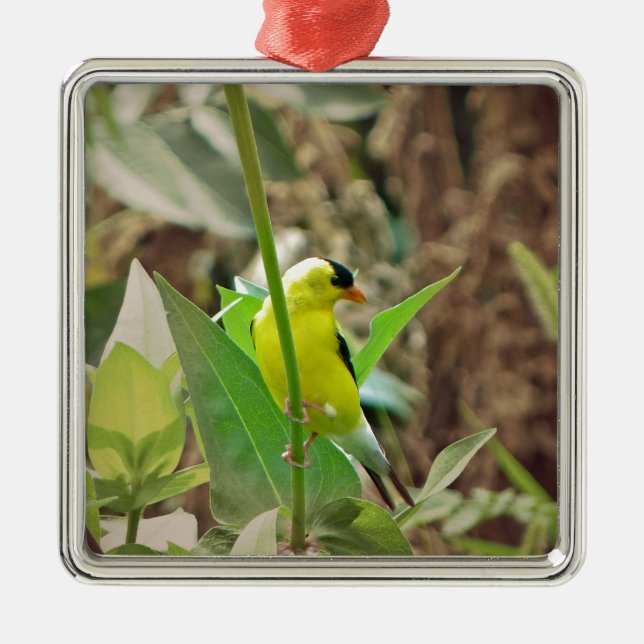 Goldfinch Metal Tree Decoration (Front)