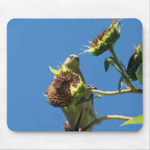Goldfinch Mouse Mat