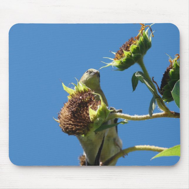 Goldfinch Mouse Mat (Front)