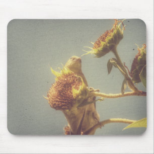 Goldfinch Mouse Mat