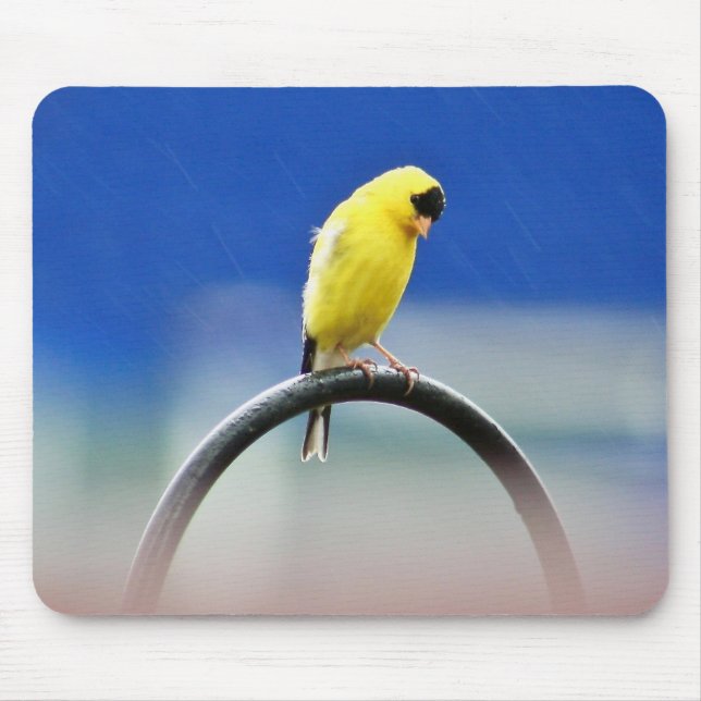 Goldfinch Mousepad (Front)