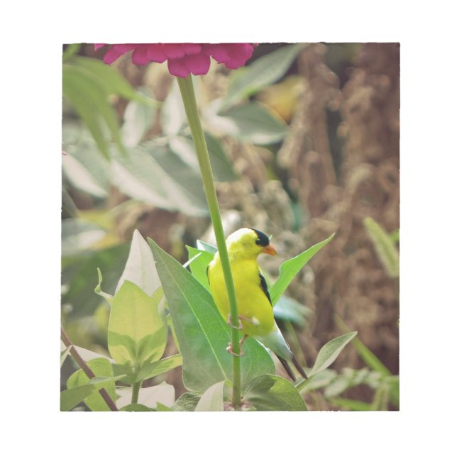 Goldfinch Notepad (Front)