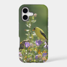 Goldfinch on a Harebell Flower