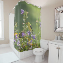 Goldfinch on a Harebell Flower