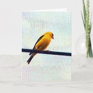 Goldfinch on a Power Line Card
