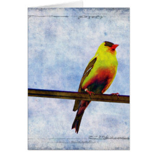 Goldfinch on Power Line