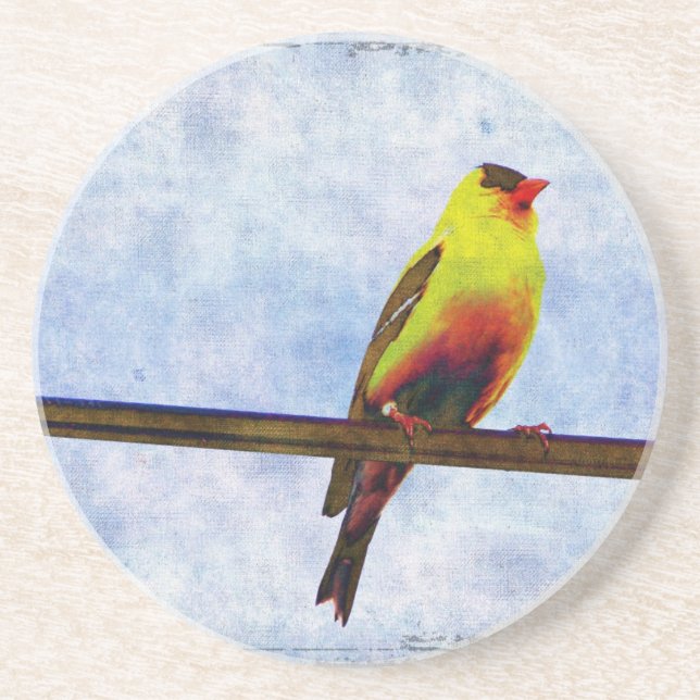 Goldfinch on Power Line Coaster (Front)